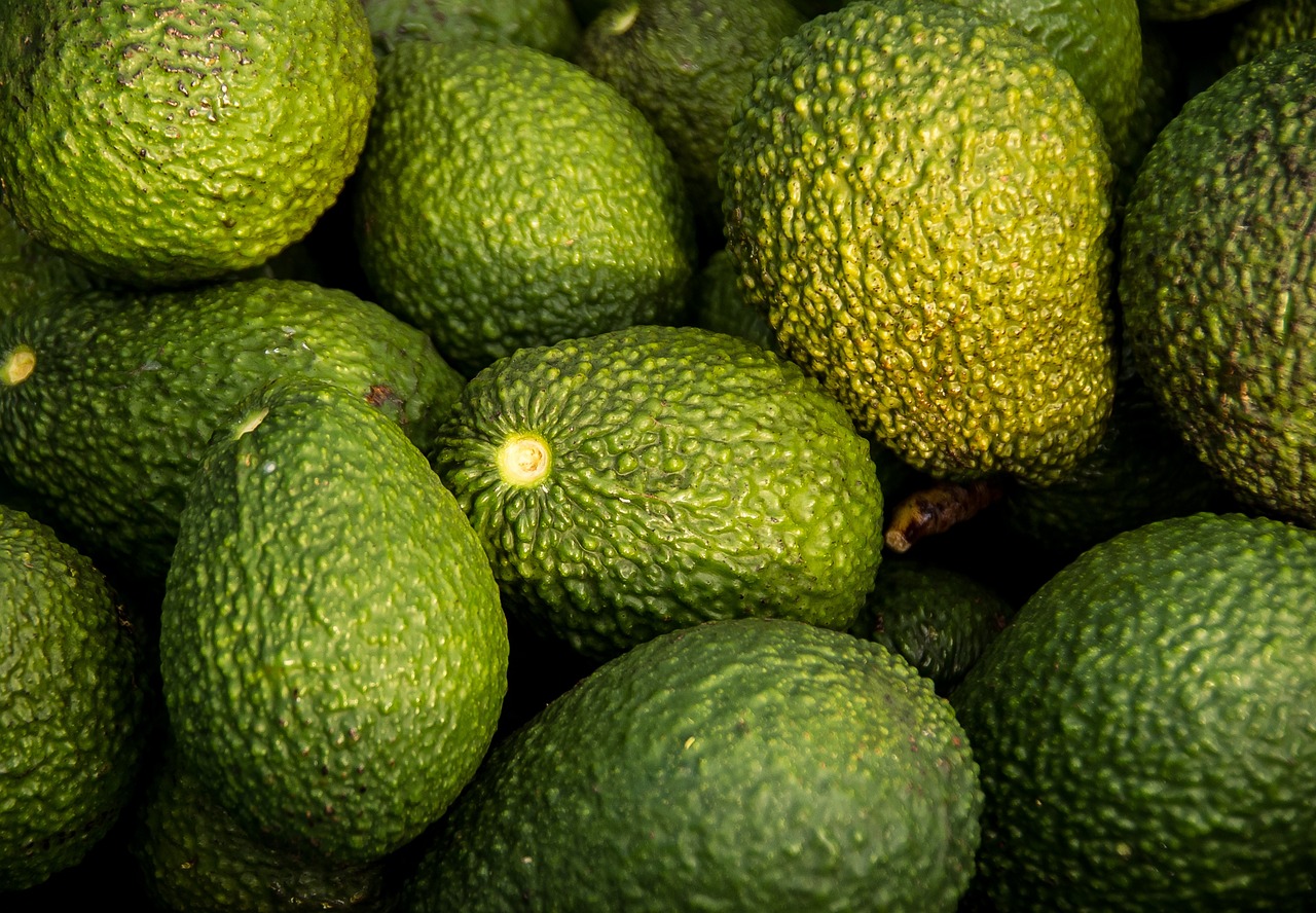 Avocado (Hass)