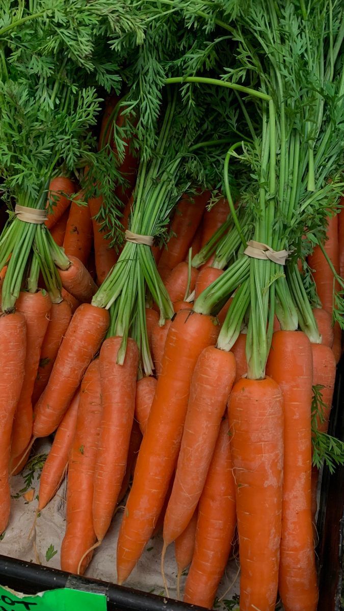 Carrot
