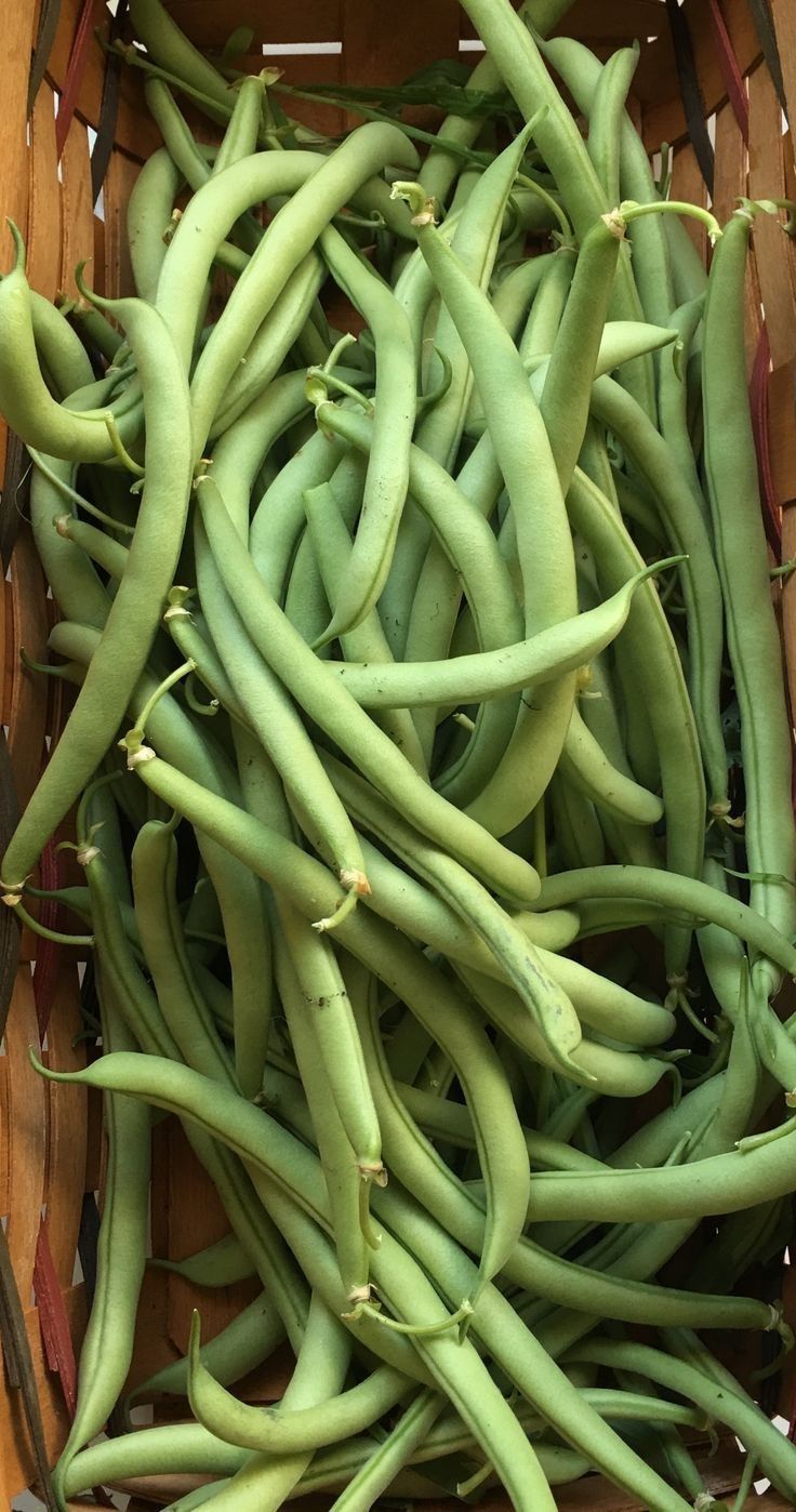 Green Beans