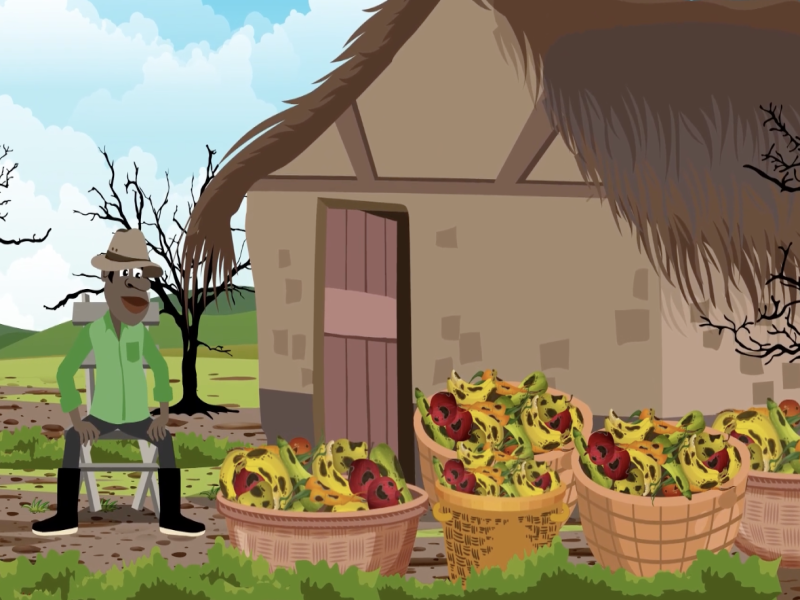 Best Hygiene Practices During Production and Harvesting in the Field