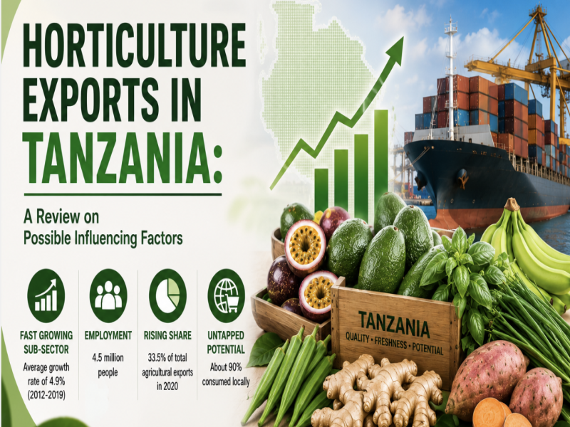 Horticulture Exports in Tanzania: A Review on Possible Influencing Factors