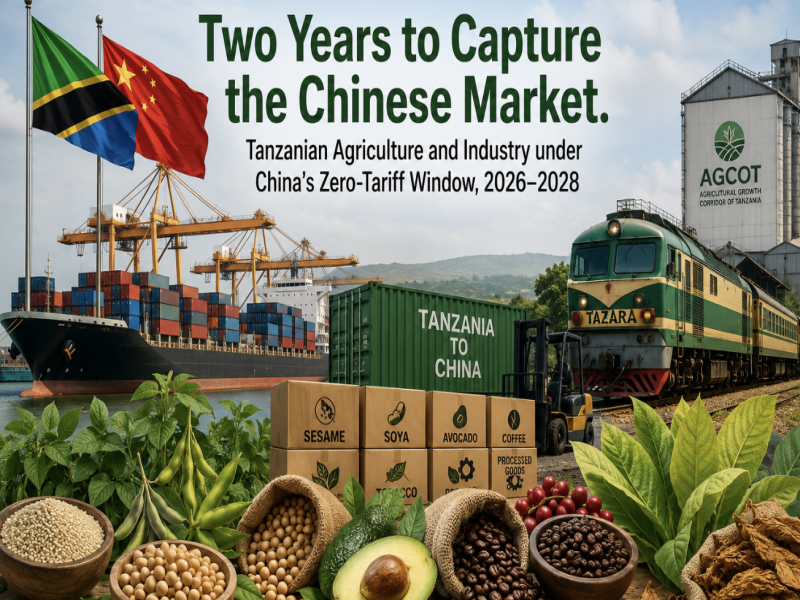 Tanzania's Two-Year China Export Opportunity